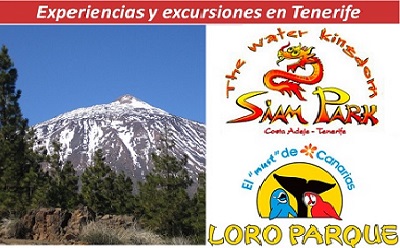 Experiencias y excursiones en Tenerife