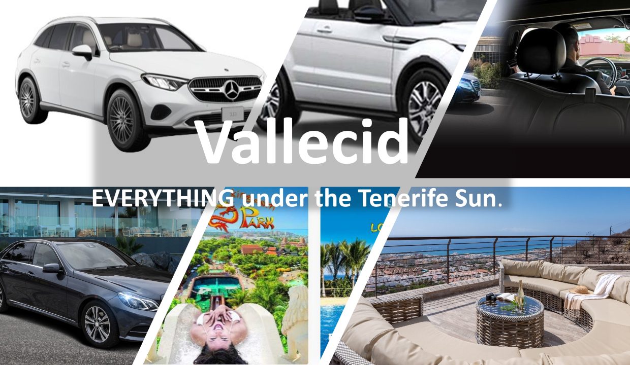 Vallecid Group. All you need under the Tenerife Sun